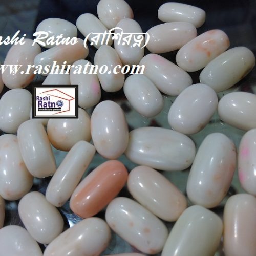 White Coral Stone (শ্বেত প্রবাল পাথর)