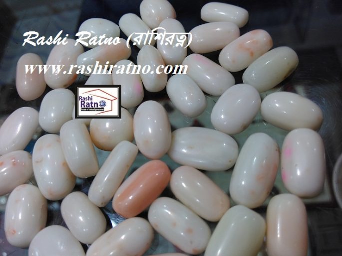 White Coral Stone (শ্বেত প্রবাল পাথর)