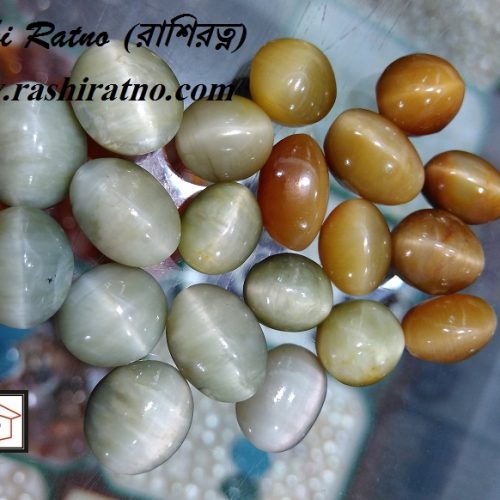 Indian Yellow Cats Eye (ইন্ডিয়ান হলুদ ক্যাটস আই)