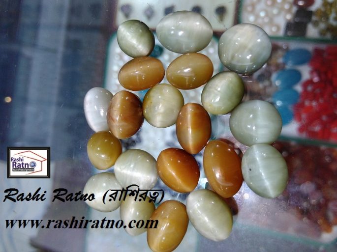 Indian Yellow Cats Eye (ইন্ডিয়ান হলুদ ক্যাটস আই) - Image 2