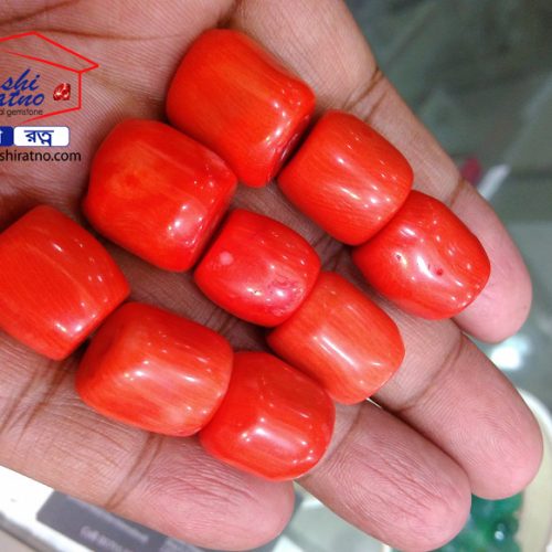 Gemstone Red Bamboo Coral