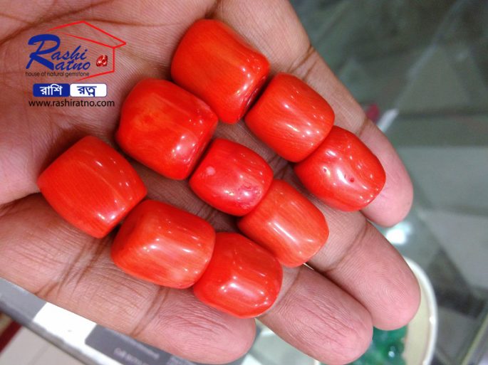 Gemstone Red Bamboo Coral