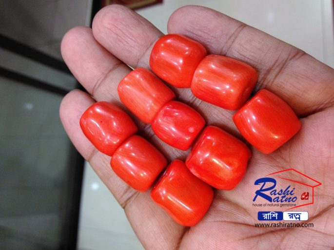 Gemstone Red Bamboo Coral - Image 3