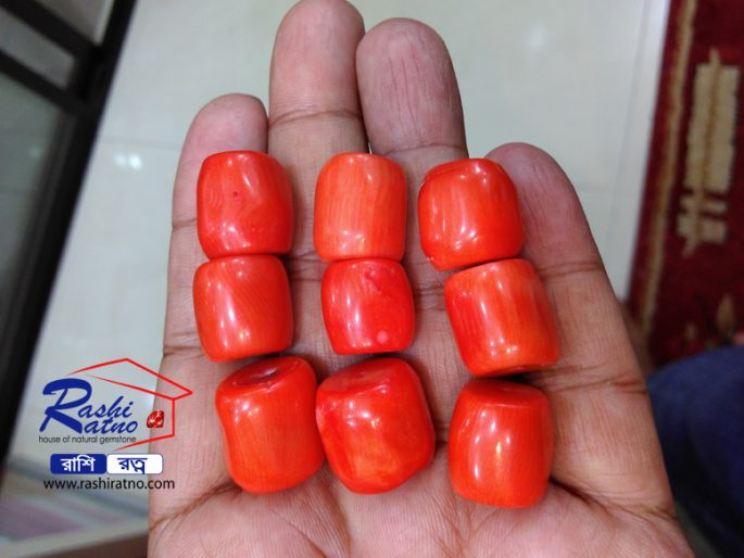 Gemstone Red Bamboo Coral - Image 4