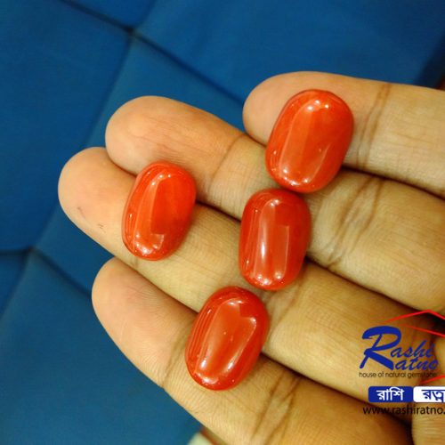 Japanese Shape Red Coral Stone (Italian)