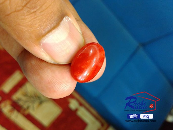 Japanese Red Coral Stone জাপানিজ রক্ত প্রবাল পাথর